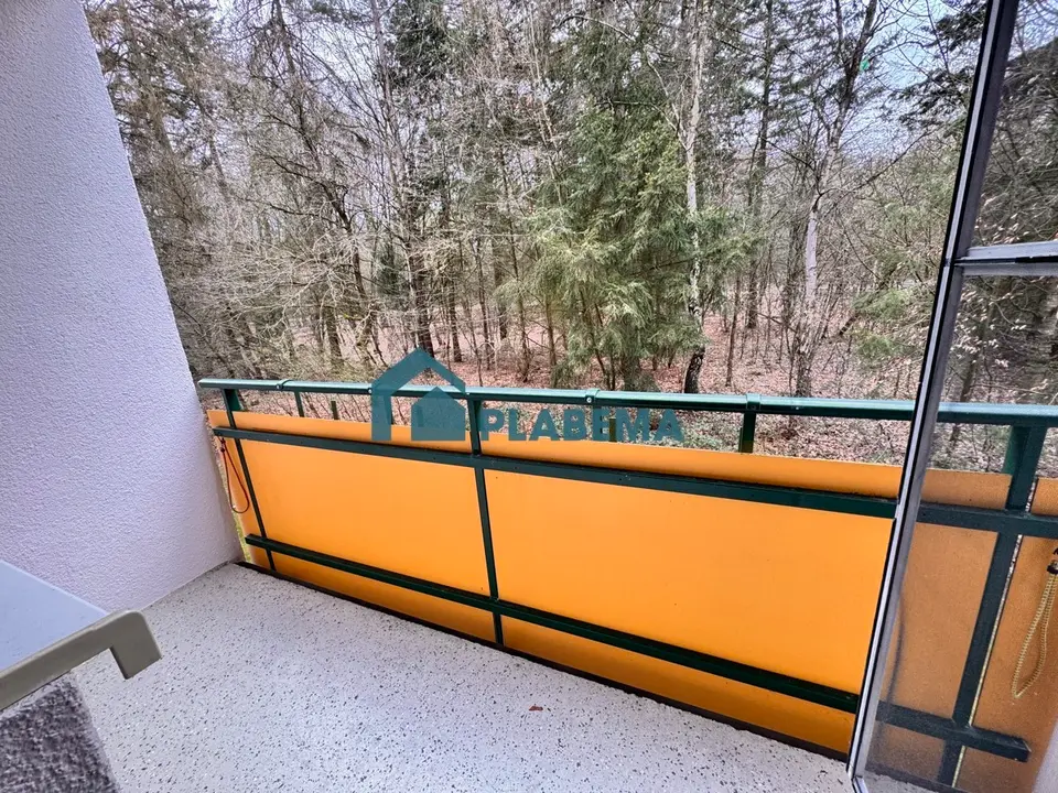 3 Zimmer Wohnung mit 58 m² in Schwerin – Bild 6
