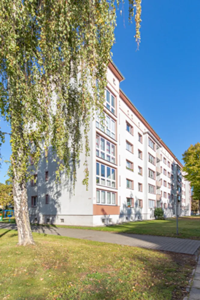 3 Zimmer Wohnung mit 65 m² in Magdeburg – Bild 3