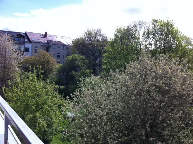 3 Zimmer Wohnung mit 95 m² in Chemnitz – Bild 4