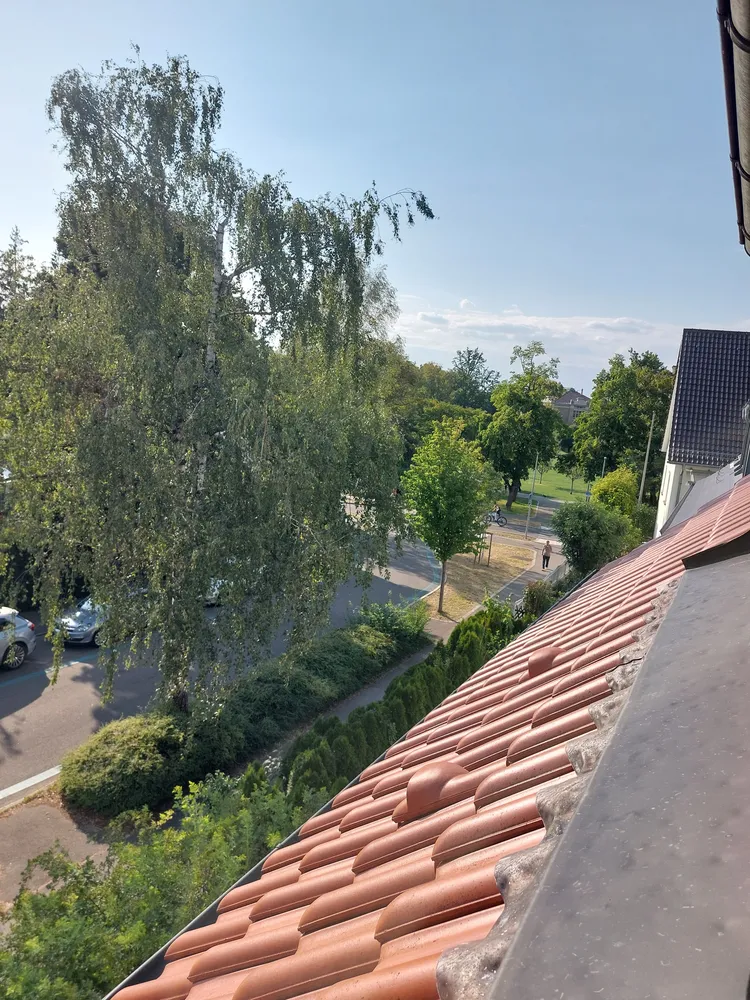 4 Zimmer Wohnung mit 70 m² in Reutlingen – Bild 8