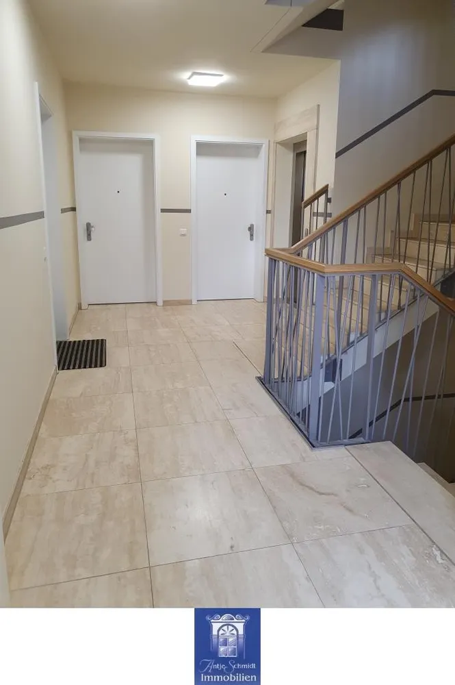 2 Zimmer Wohnung mit 49 m² in Dresden – Bild 4