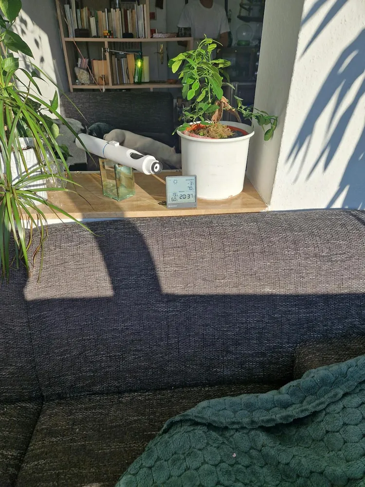 WG-Zimmer mit 20 m² in Leipzig – Bild 1