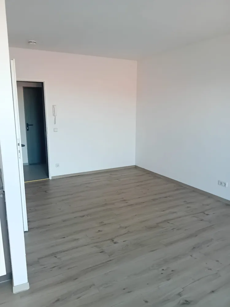 1 Zimmer Wohnung mit 34 m² in Greifswald – Bild 3