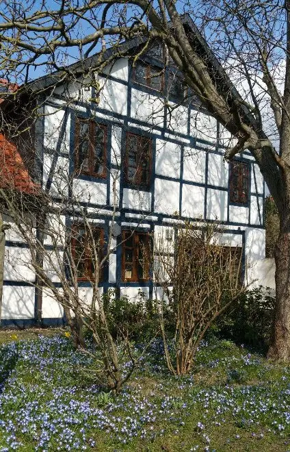 WG-Zimmer mit 200 m² in Braunschweig – Bild 10