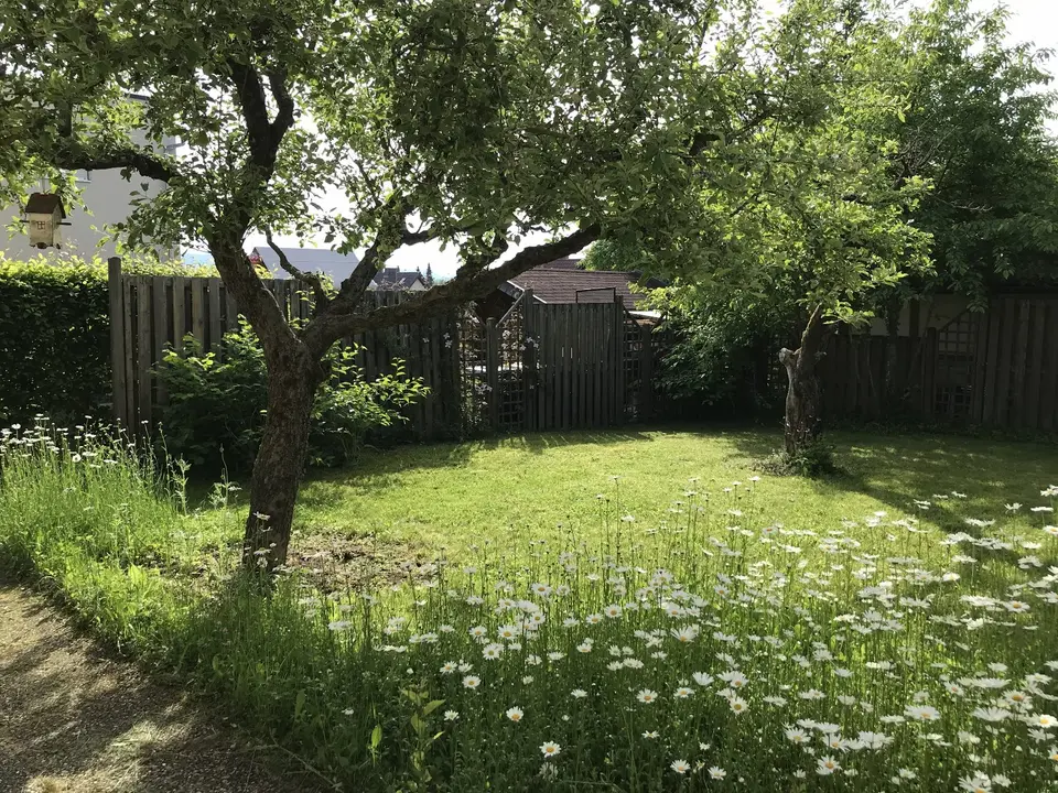 WG-Zimmer mit 20 m² in Fulda – Bild 6