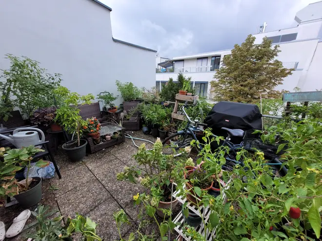 4 Zimmer Wohnung mit 92 m² in Darmstadt – Bild 2
