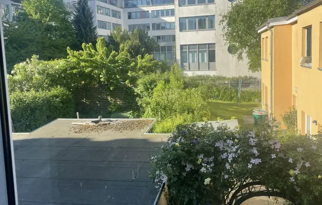 2 Zimmer Wohnung mit 38 m² in Rostock – Bild 6