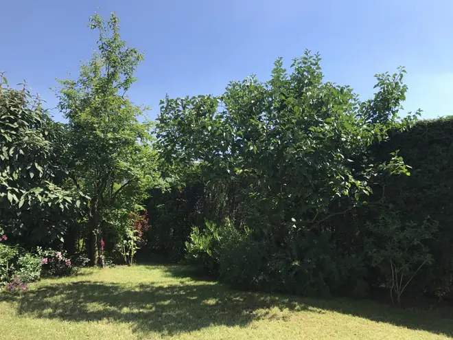 6 Zimmer Haus mit 141 m² in Oberursel (Taunus) – Bild 5