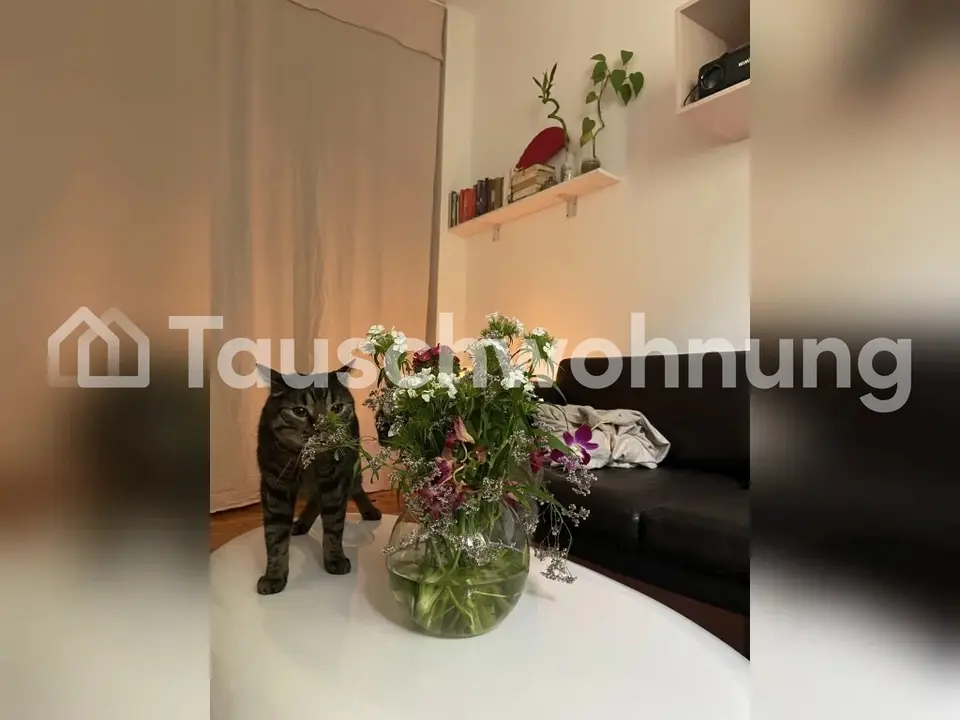 Studio mit 28 m² in Berlin – Bild 8