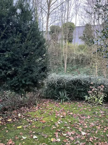 3 Zimmer Haus mit 91 m² in Köln – Bild 2