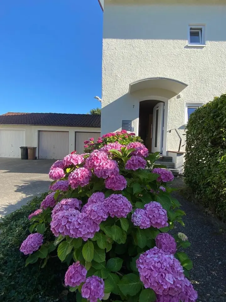 WG-Zimmer mit 55 m² in Friedrichshafen – Bild 4