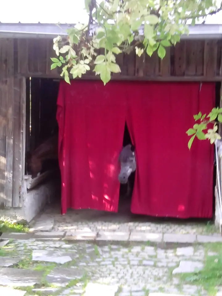 Studio mit 34 m² in Passau – Bild 8