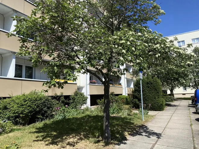 2 Zimmer Wohnung mit 46 m² in Leipzig – Bild 8