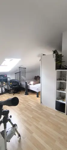 2 Zimmer Wohnung mit 47 m² in Chemnitz – Bild 4