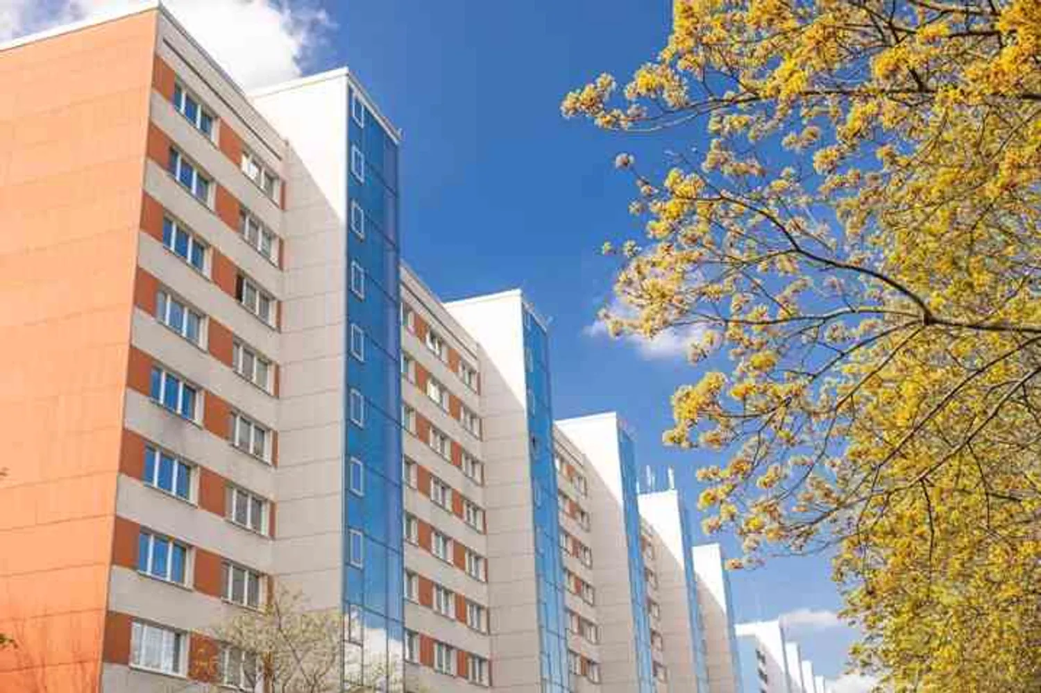 3 Zimmer Wohnung mit 79 m² in Dresden – Bild 1