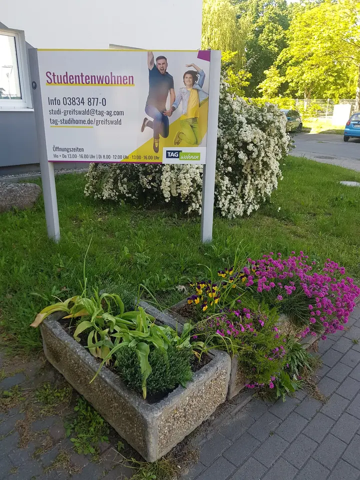 2 Zimmer Wohnung mit 20 m² in Greifswald – Bild 5