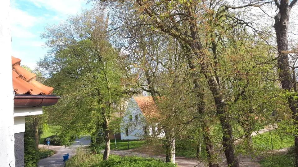 17 Zimmer Wohnung mit 78 m² in Emden – Bild 9