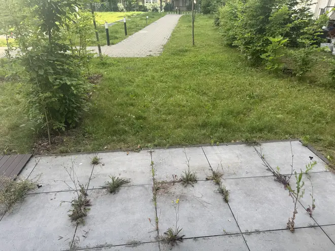 2 Zimmer Wohnung mit 62 m² in Leipzig – Bild 8