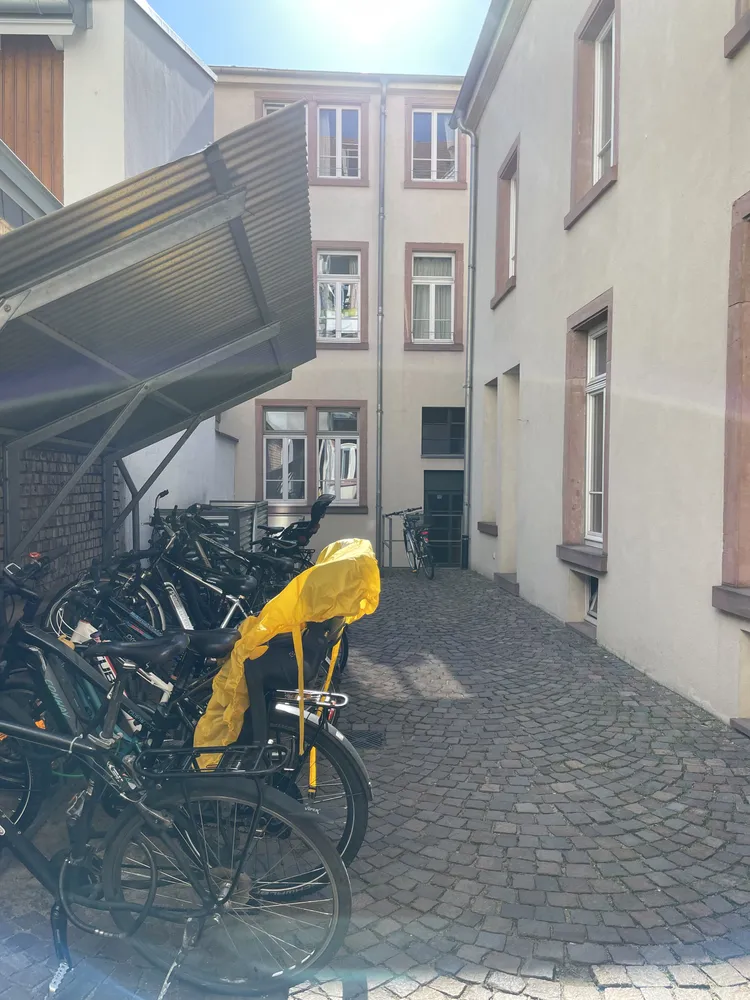 3 Zimmer Wohnung mit 83 m² in Heidelberg – Bild 10