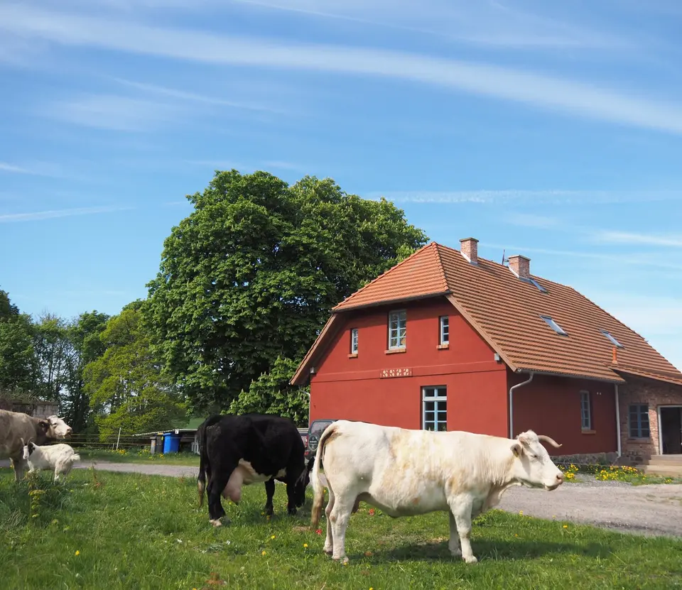 4 Zimmer Wohnung mit 139 m² in Stralsund – Bild 2