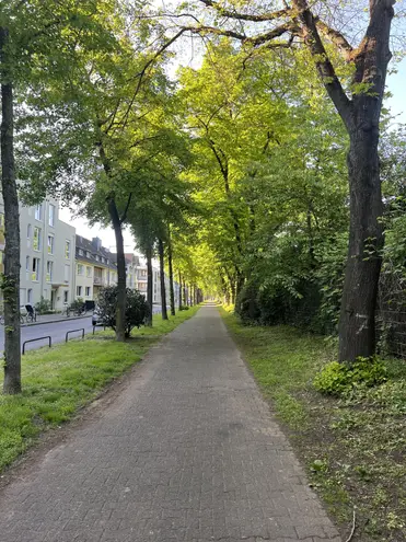 2 Zimmer Wohnung mit 65 m² in Köln – Bild 11