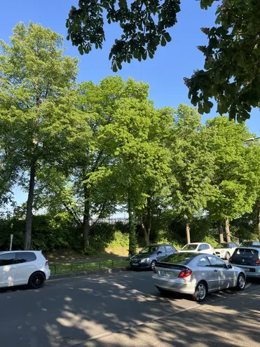 2 Zimmer Wohnung mit 65 m² in Köln – Bild 10