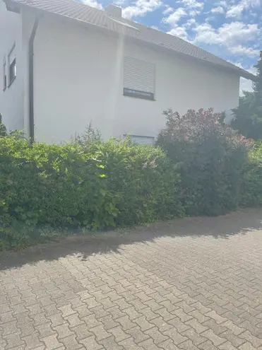 3 Zimmer Wohnung mit 70 m² in Mannheim – Bild 2