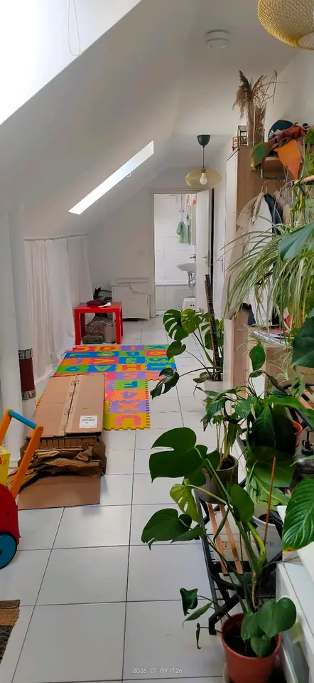 WG-Zimmer mit 65 m² in Nürnberg – Bild 4