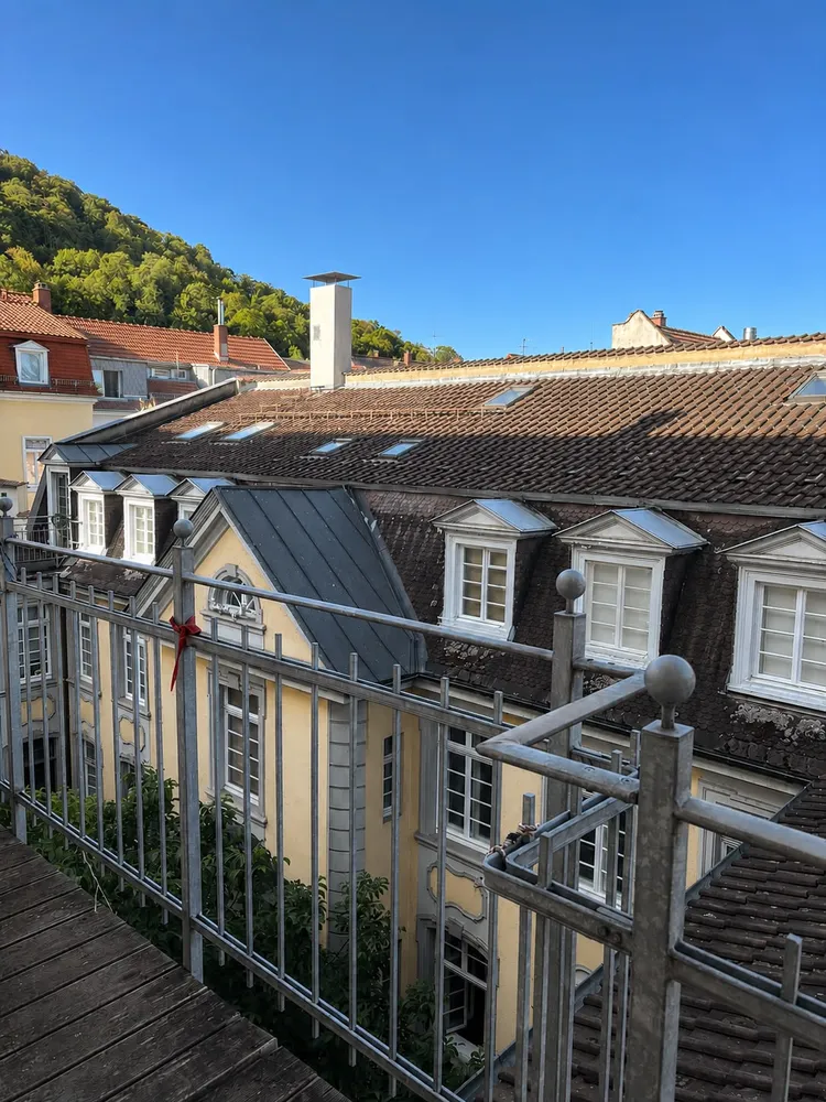 3 Zimmer Wohnung mit 130 m² in Heidelberg – Bild 10