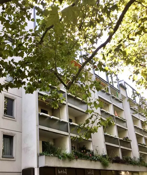 2 Zimmer Wohnung mit 50 m² in Dresden – Bild 5