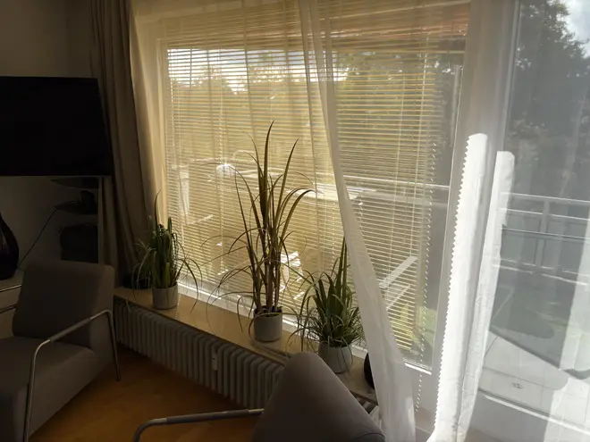 1 Zimmer Wohnung mit 48 m² in Bremen – Bild 4
