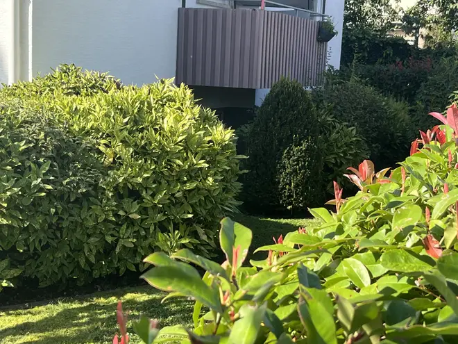 2 Zimmer Wohnung mit 55 m² in Freiburg im Breisgau – Bild 2