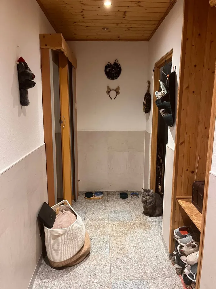 2 Zimmer Wohnung mit 52 m² in Jena – Bild 3