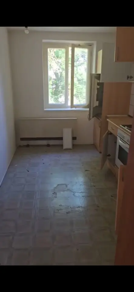 3 Zimmer Wohnung mit 49 m² in Plauen – Bild 3