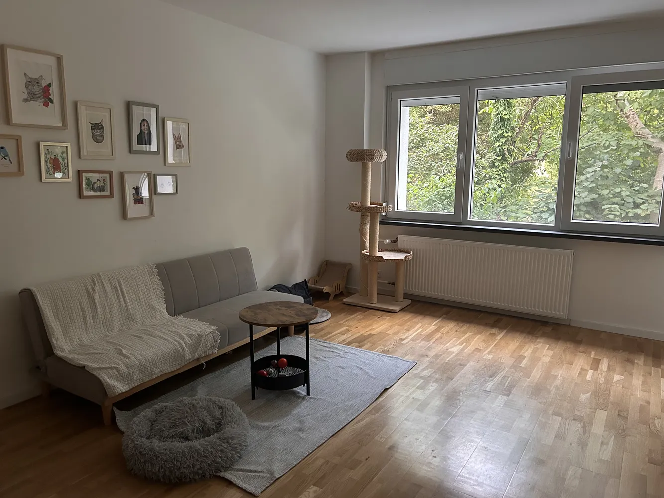 2 Zimmer Wohnung mit 61 m² in Heidelberg – Bild 1