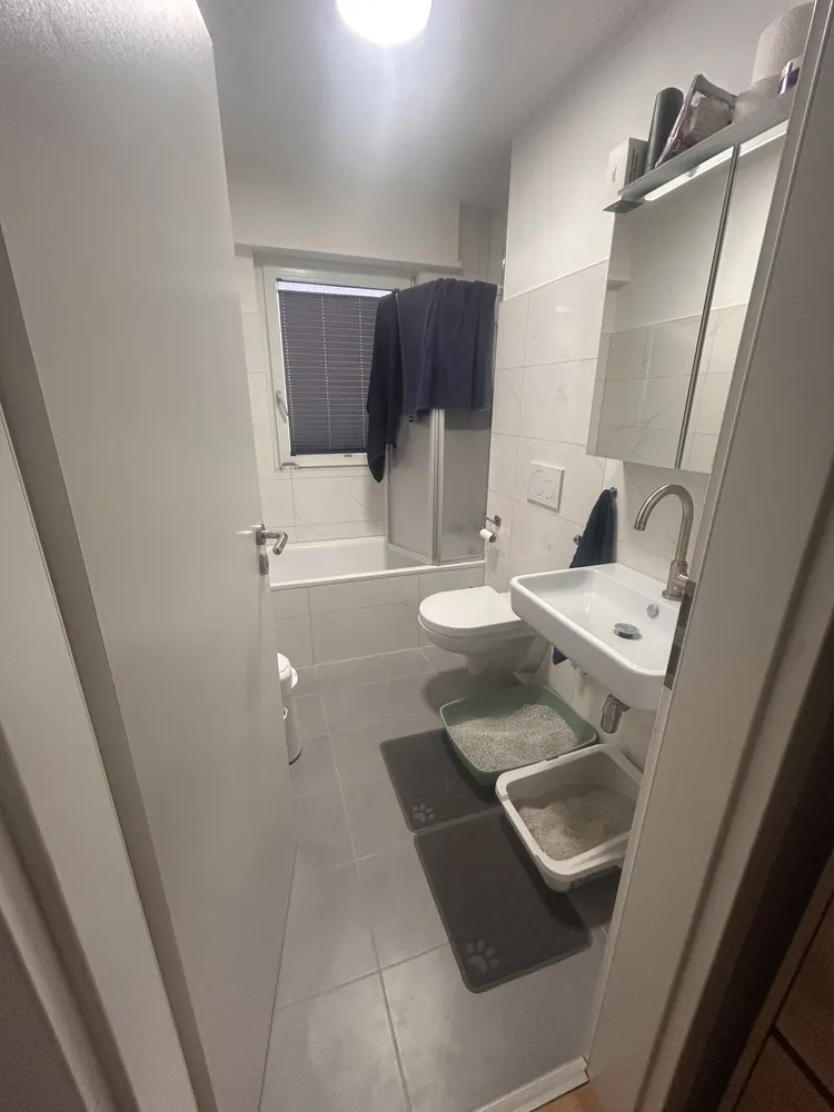 2 Zimmer Wohnung mit 61 m² in Heidelberg – Bild 11