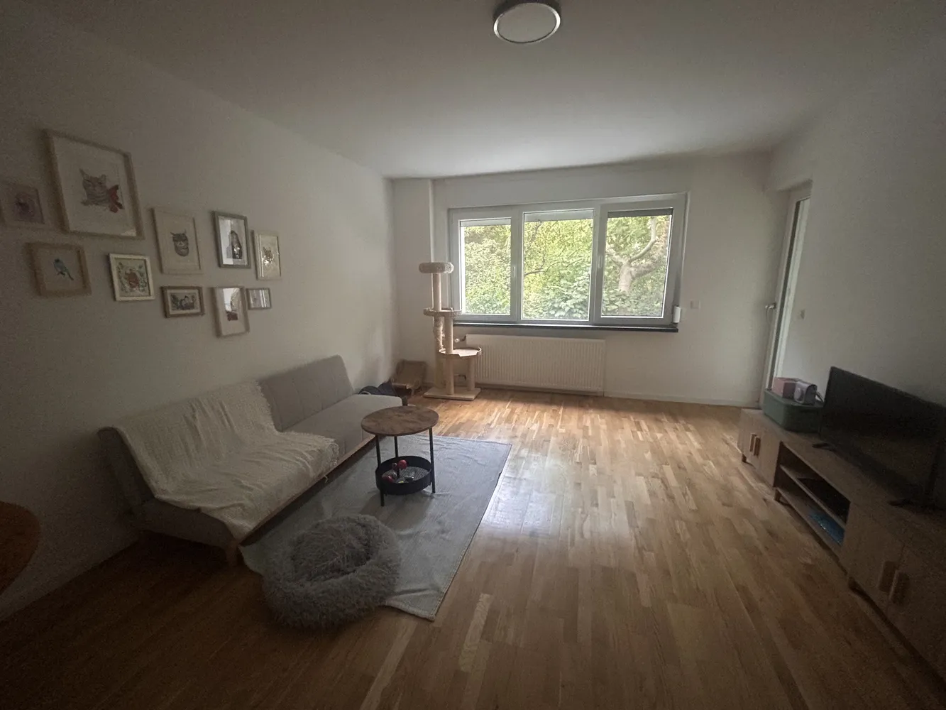 2 Zimmer Wohnung mit 61 m² in Heidelberg – Bild 4