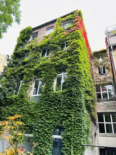 2 Zimmer Wohnung mit 50 m² in Hannover – Bild 3