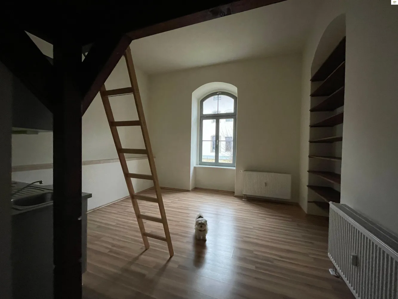 1 Zimmer Wohnung mit 29 m² in Dresden – Bild 6