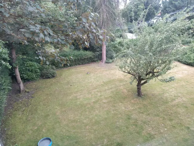 3 Zimmer Wohnung mit 95 m² in Hannover – Bild 10