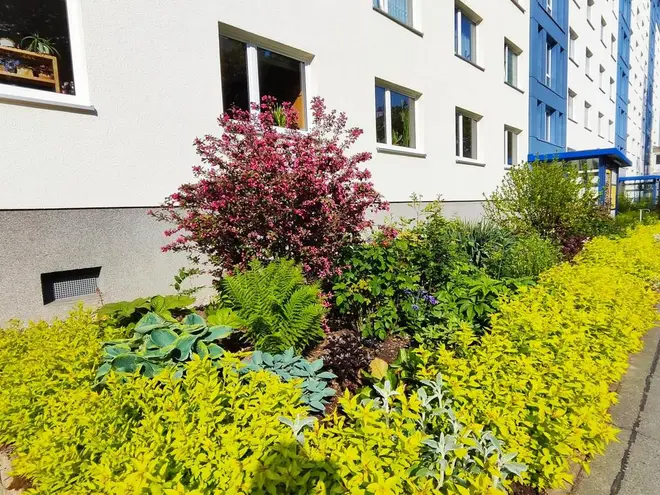 2 Zimmer Wohnung mit 65 m² in Chemnitz – Bild 6