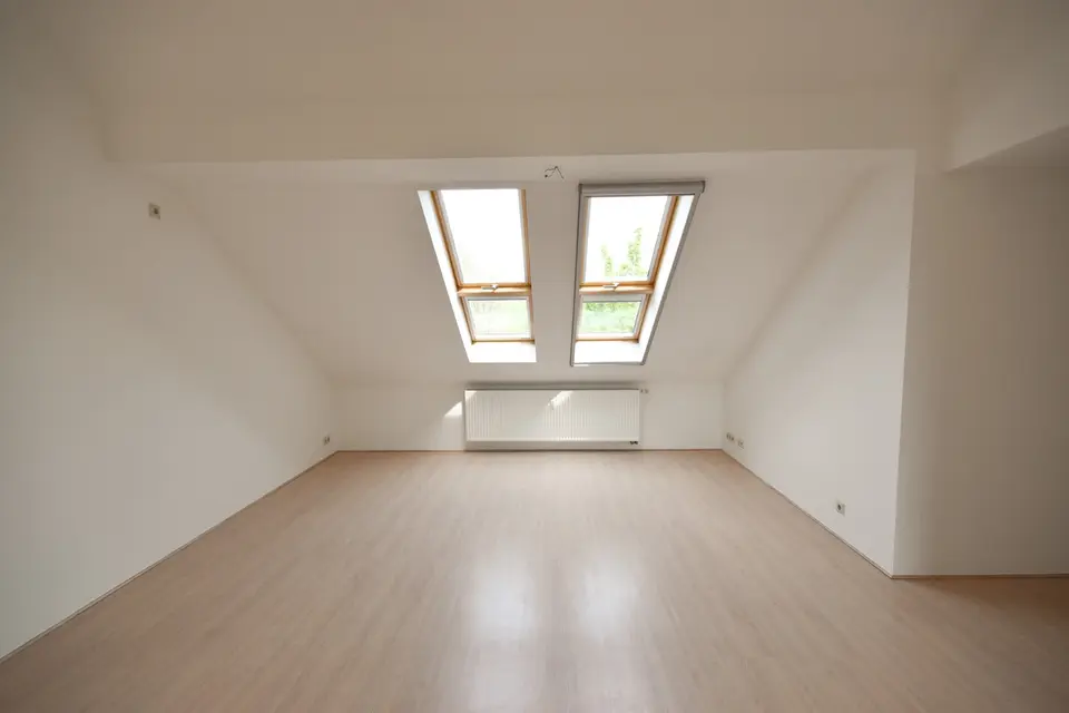3 Zimmer Wohnung mit 101 m² in Zwickau – Bild 4
