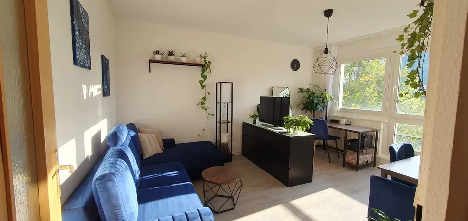 Studio mit 32 m² in Dresden – Bild 1