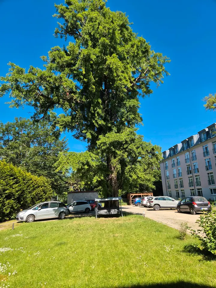 4 Zimmer Wohnung mit 98 m² in Weimar – Bild 9