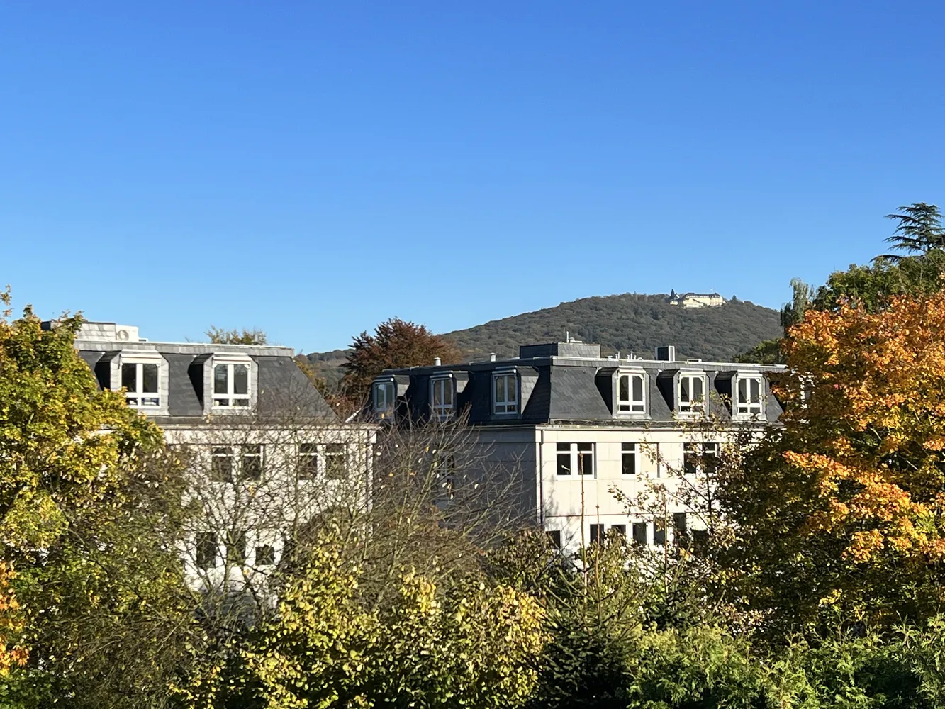 2 Zimmer Wohnung mit 83 m² in Bonn – Bild 1