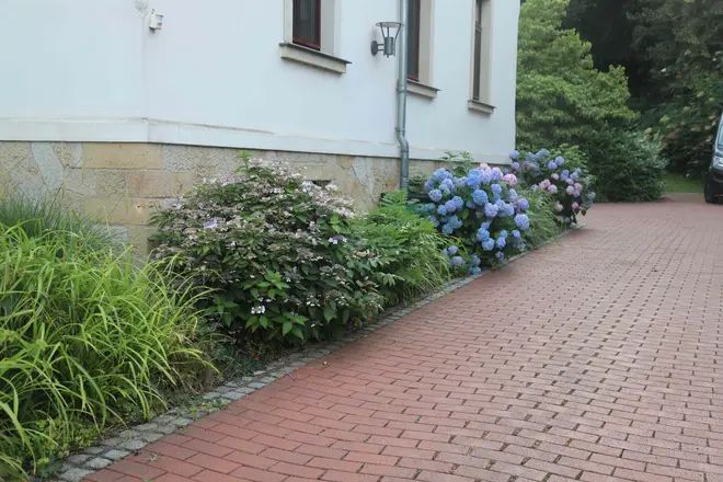 2 Zimmer Wohnung mit 47 m² in Dresden – Bild 11