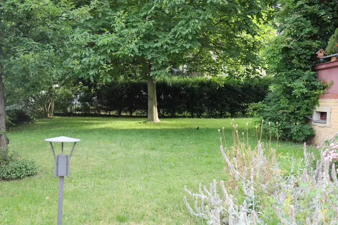 2 Zimmer Wohnung mit 47 m² in Dresden – Bild 9