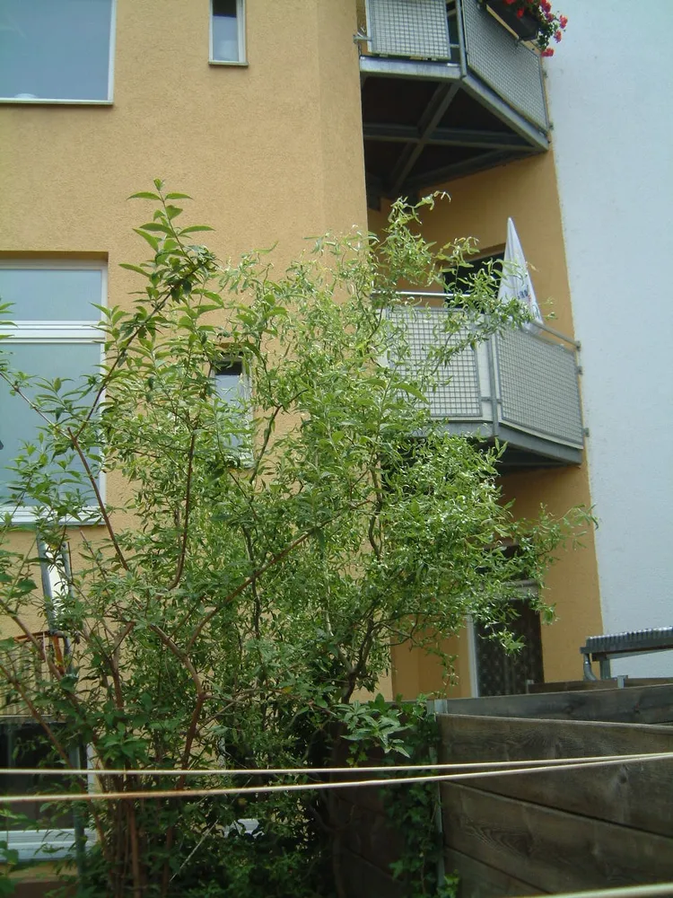 2 Zimmer Wohnung mit 62 m² in Gera – Bild 3