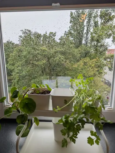 2 Zimmer Wohnung mit 53 m² in Hannover – Bild 3