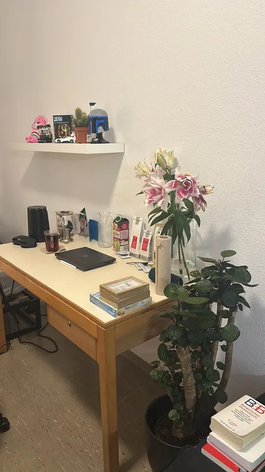 WG-Zimmer mit 16 m² in Mannheim – Bild 6